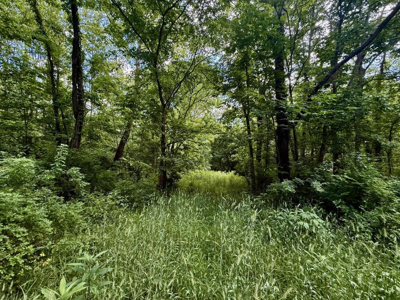 480 Ac Dietrich Road, Dover, KY 41034 Photo 35