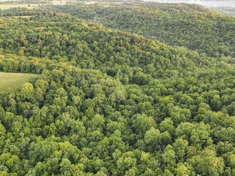 480 Ac Dietrich Road, Dover, KY 41034 Photo 36