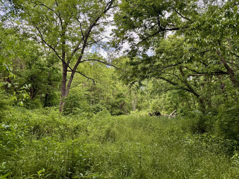480 Ac Dietrich Road, Dover, KY 41034 Photo 37