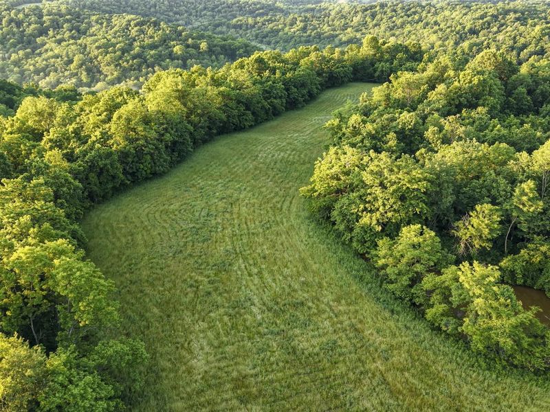 480 Ac Dietrich Road, Dover, KY 41034 Photo 38