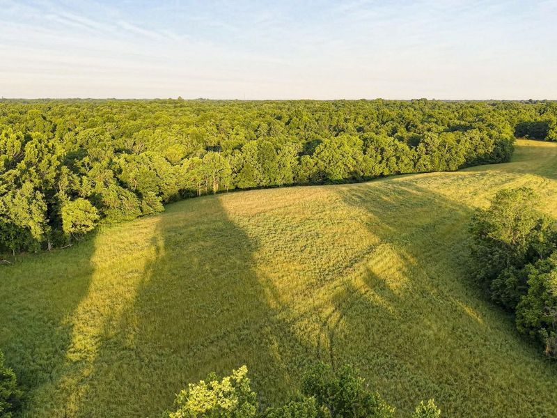 480 Ac Dietrich Road, Dover, KY 41034 Photo 4