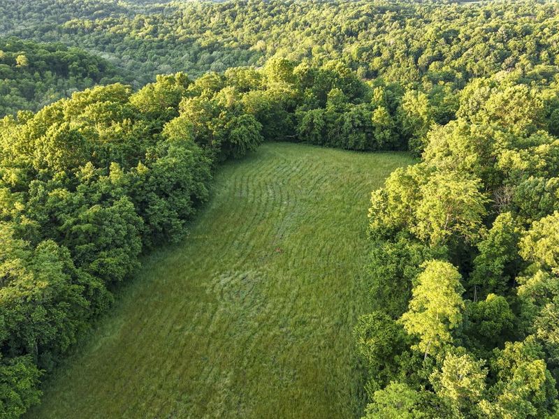 480 Ac Dietrich Road, Dover, KY 41034 Photo 40