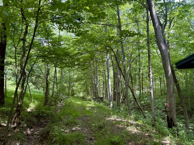 480 Ac Dietrich Road, Dover, KY 41034 Photo 42