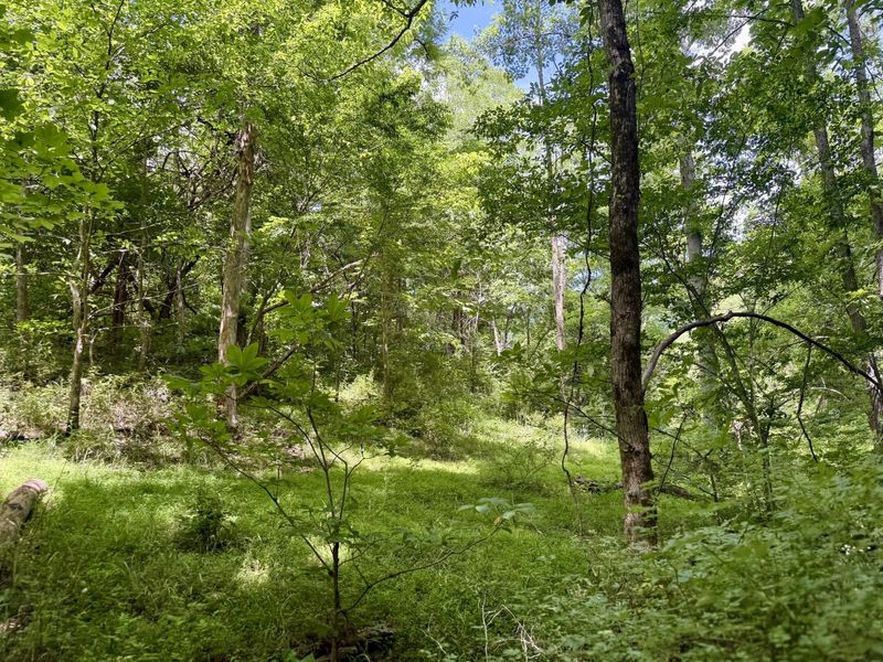 480 Ac Dietrich Road, Dover, KY 41034 Photo 43
