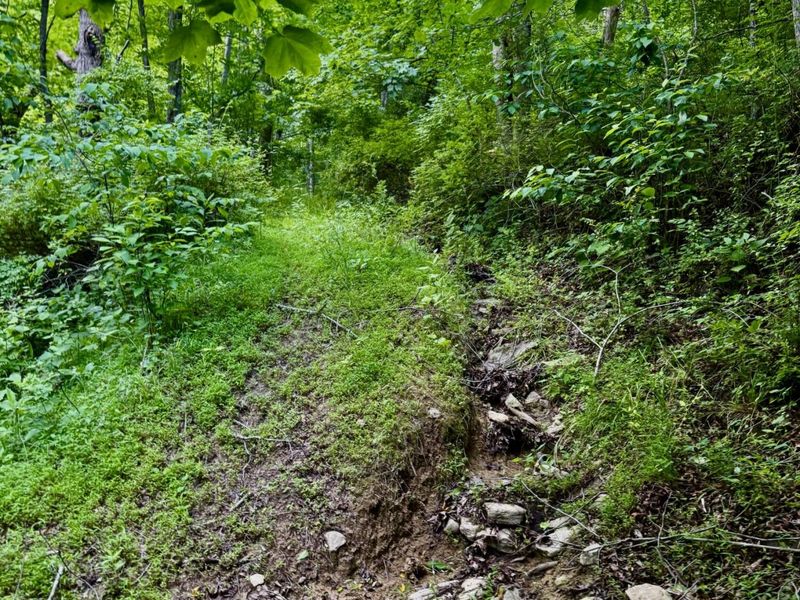 480 Ac Dietrich Road, Dover, KY 41034 Photo 44