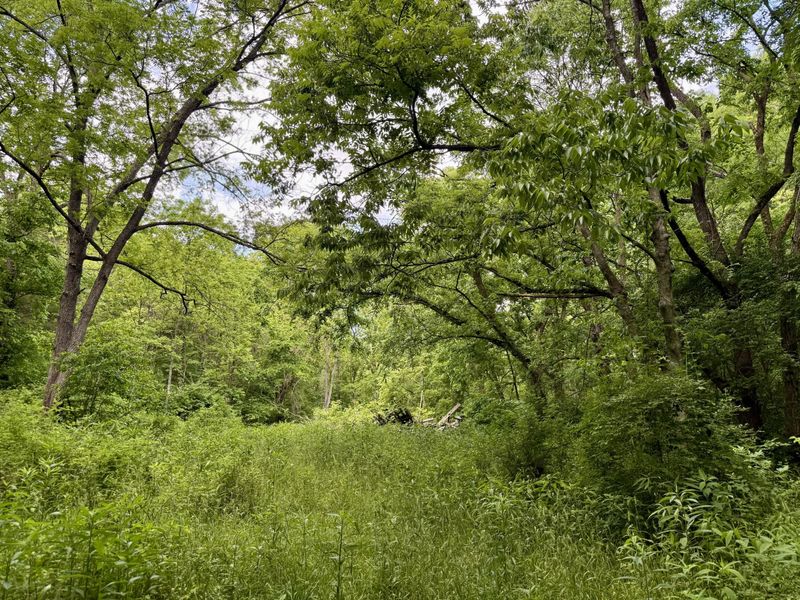 480 Ac Dietrich Road, Dover, KY 41034 Photo 45
