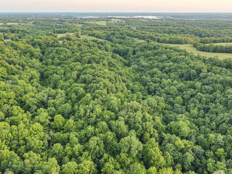 480 Ac Dietrich Road, Dover, KY 41034 Photo 5
