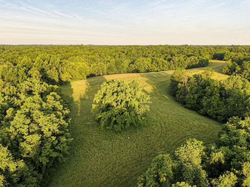 480 Ac Dietrich Road, Dover, KY 41034 Photo 6