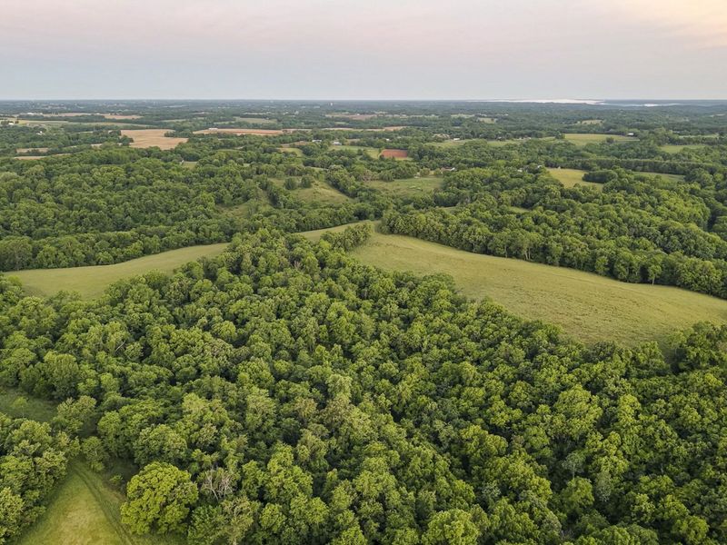 480 Ac Dietrich Road, Dover, KY 41034 Photo 8