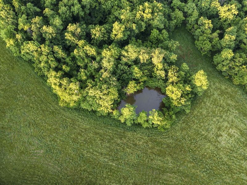 480 Ac Dietrich Road, Dover, KY 41034 Photo 9