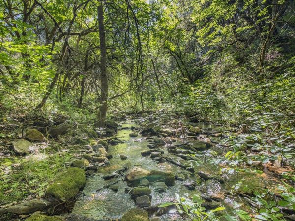 CA-Calaveras County, San Andreas, CA 95249