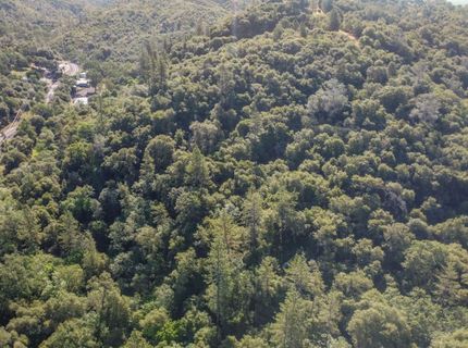 Ca-calaveras County, San Andreas, CA 95249 Photo