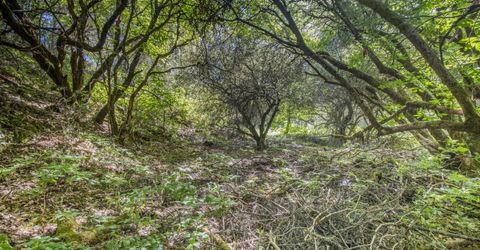 Ca-calaveras County, San Andreas, CA 95249 Photo