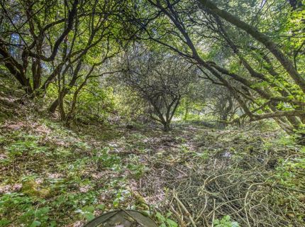 Ca-calaveras County, San Andreas, CA 95249 Photo
