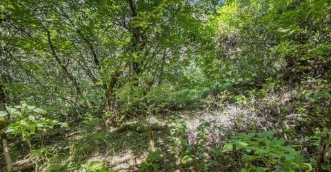 Ca-calaveras County, San Andreas, CA 95249 Photo
