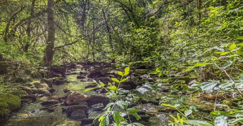 Ca-calaveras County, San Andreas, CA 95249 Photo