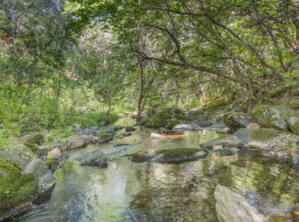 Ca-calaveras County, San Andreas, CA 95249 Photo