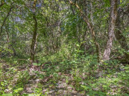 Ca-calaveras County, San Andreas, CA 95249 Photo
