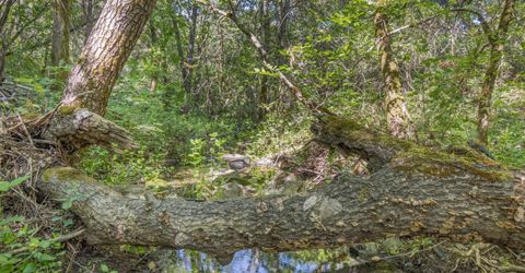 Ca-calaveras County, San Andreas, CA 95249 Photo