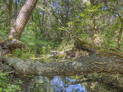 Ca-calaveras County, San Andreas, CA 95249 Photo