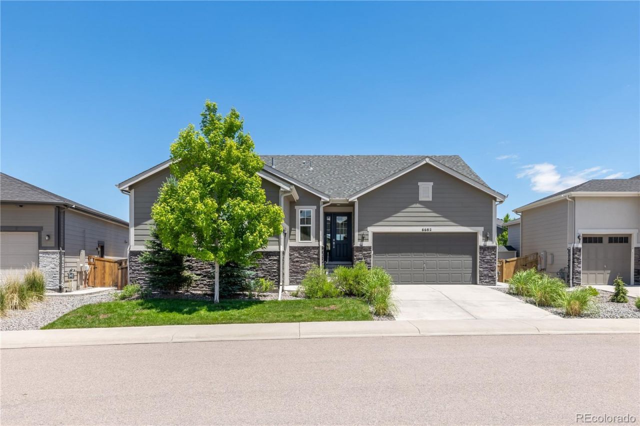 6682 Angelique Avenue, Castle Rock, CO 80108 Main Photo