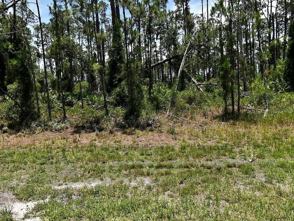 TROPICAIRE BOULEVARD , NORTH PORT, FL 34291