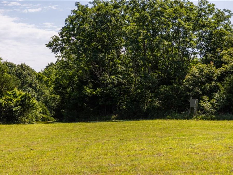 Property Image 58