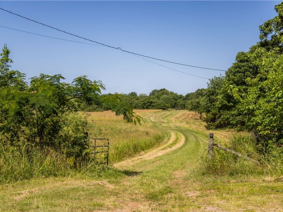 Property Image 60