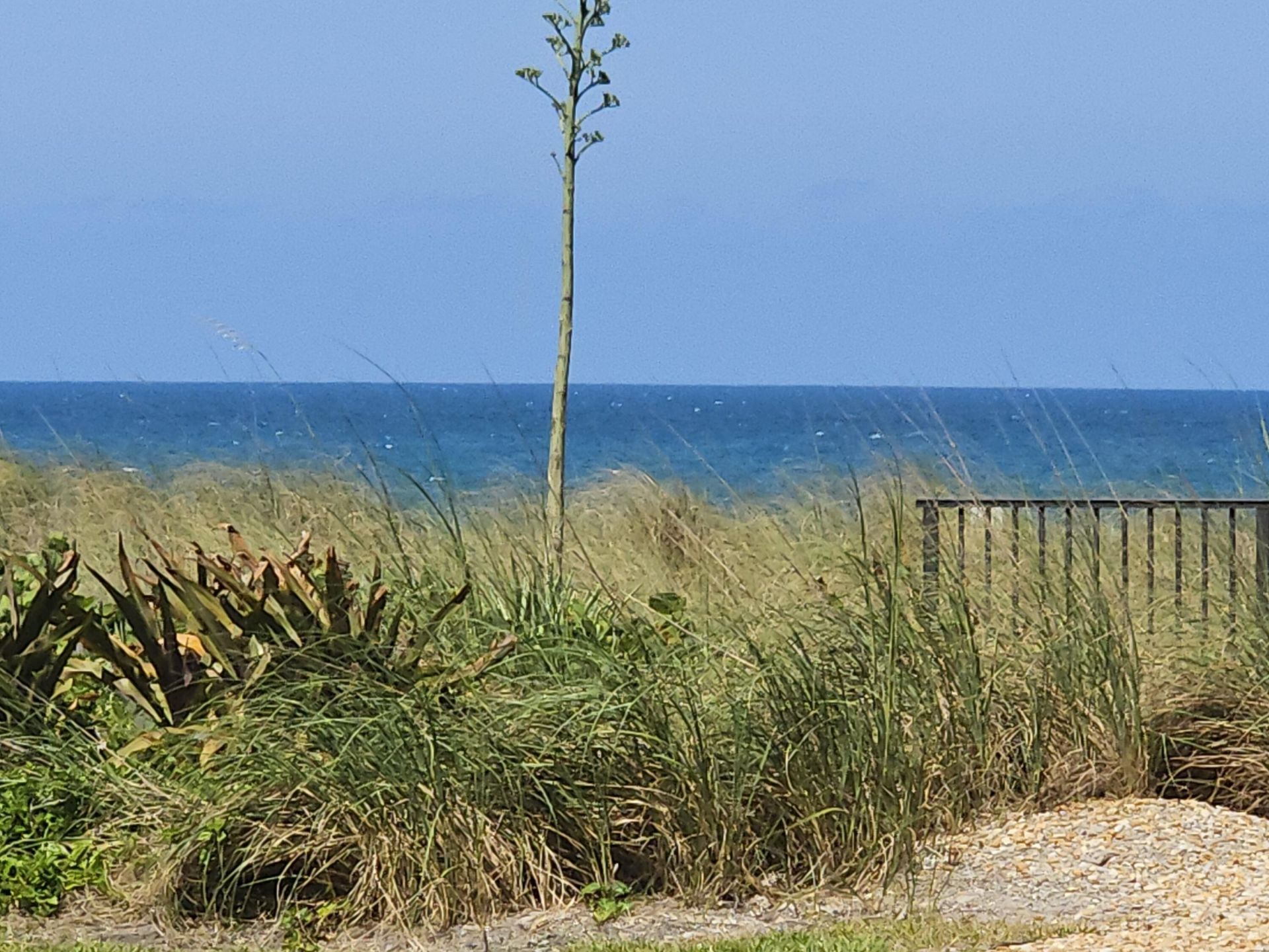 1357 NE Ocean, Unit 104, Stuart, FL 34996 Photo