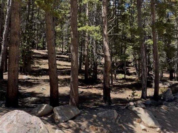 Lot 378 Alice Road, Idaho Springs, CO 80452