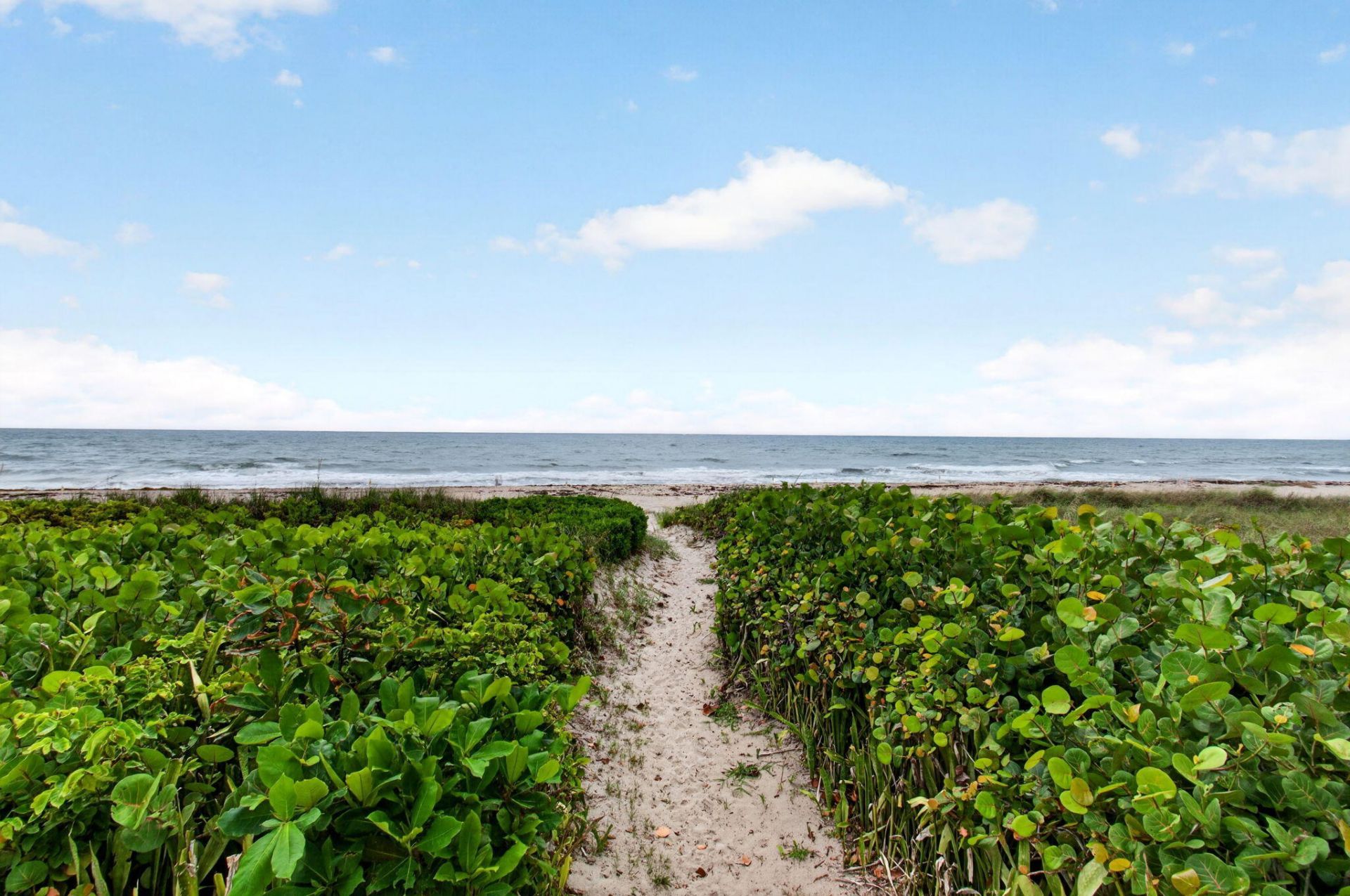 2701 S Ocean Boulevard, Unit 21, Highland Beach, FL 33487 Photo