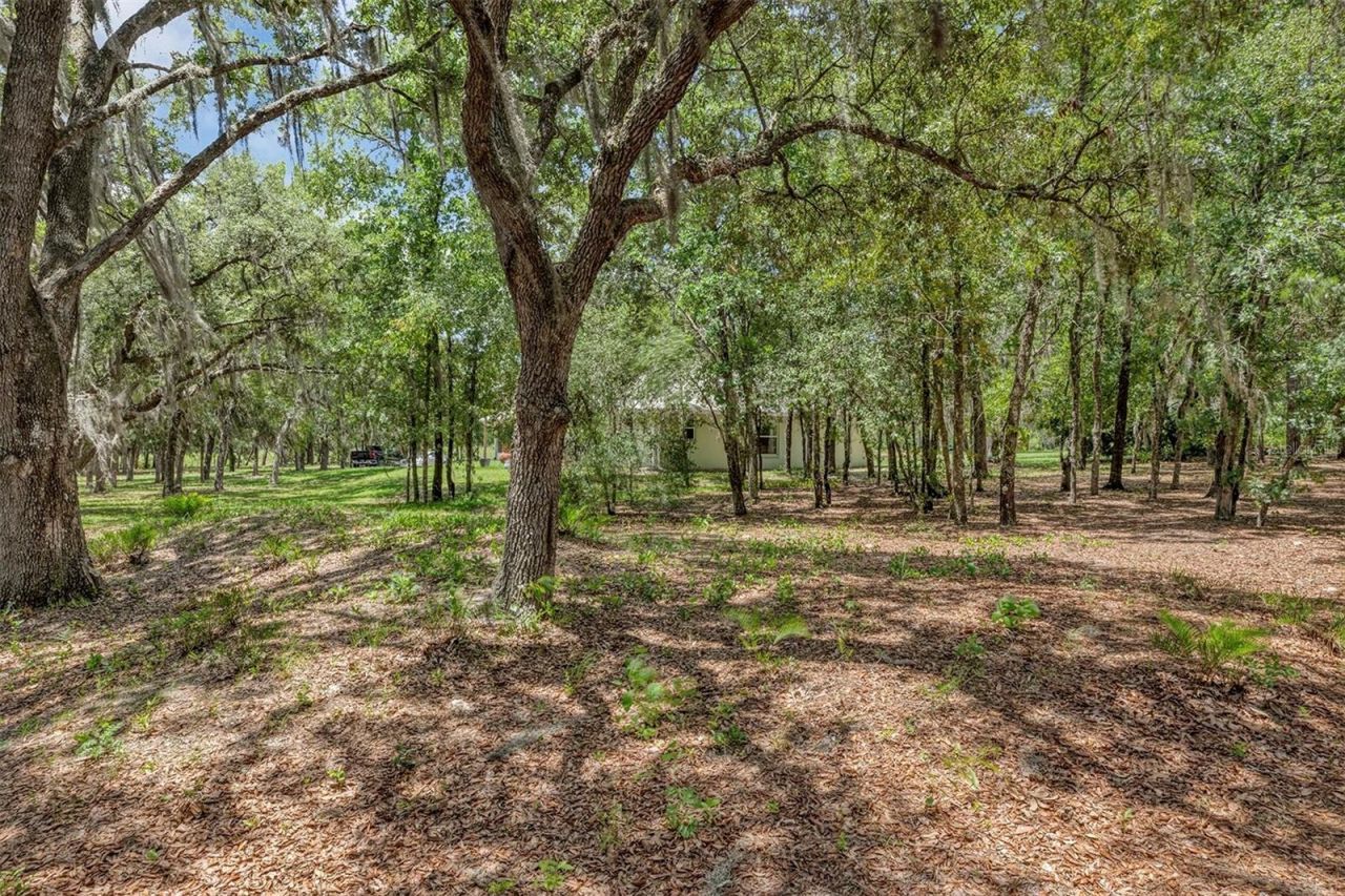 15810 SW 59th Avenue Road, Ocala, FL 34473 Photo