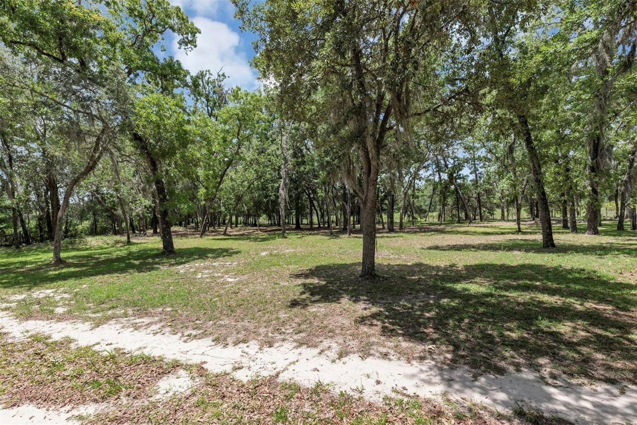 15810 SW 59th Avenue Road, Ocala, FL 34473 Photo