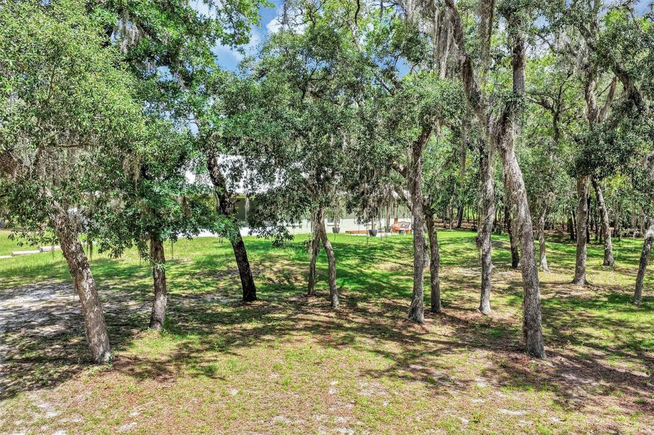 15810 SW 59th Avenue Road, Ocala, FL 34473 Photo