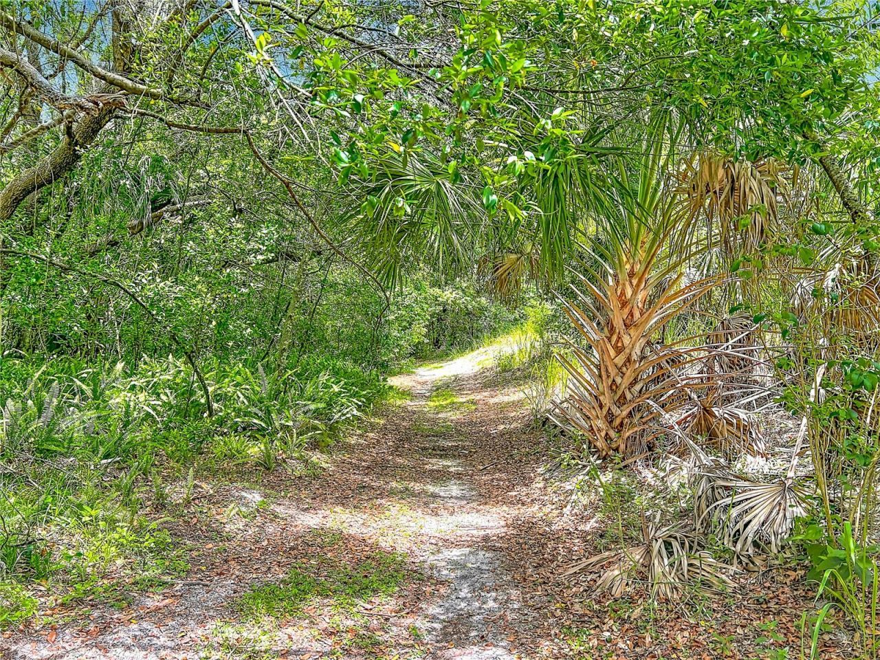 975 Dyson Drive , Winter Springs, FL 32708 Photo