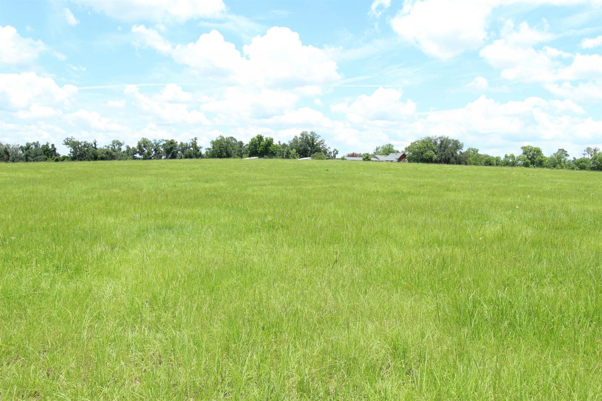 916 SW Cr 360, Madison, FL 32340 Photo