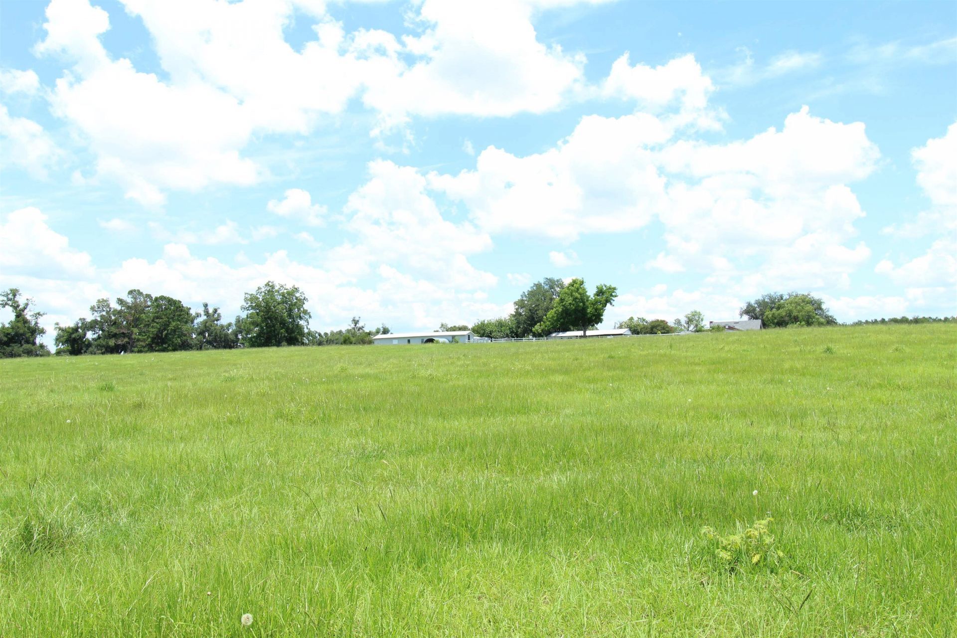 916 SW Cr 360, Madison, FL 32340 Photo