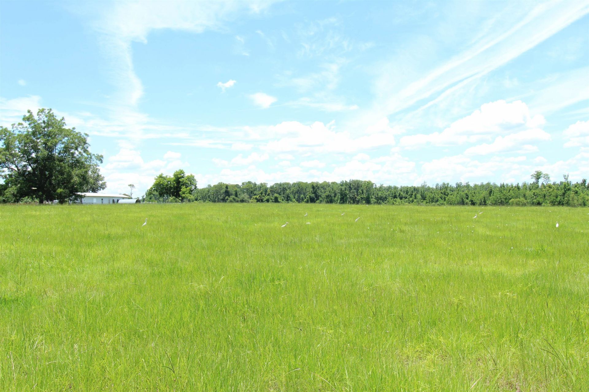 916 SW Cr 360, Madison, FL 32340 Photo