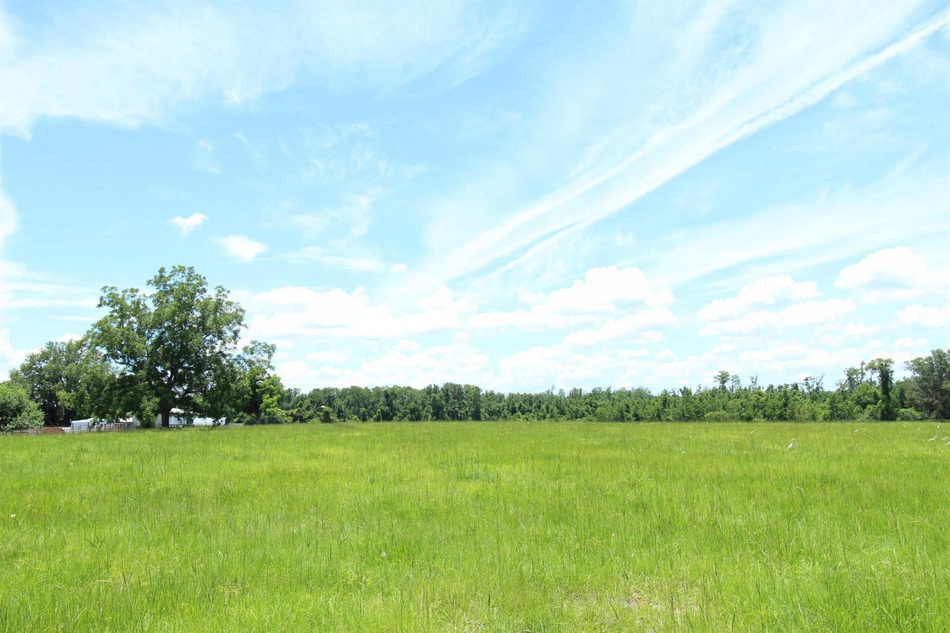 916 SW Cr 360, Madison, FL 32340 Photo