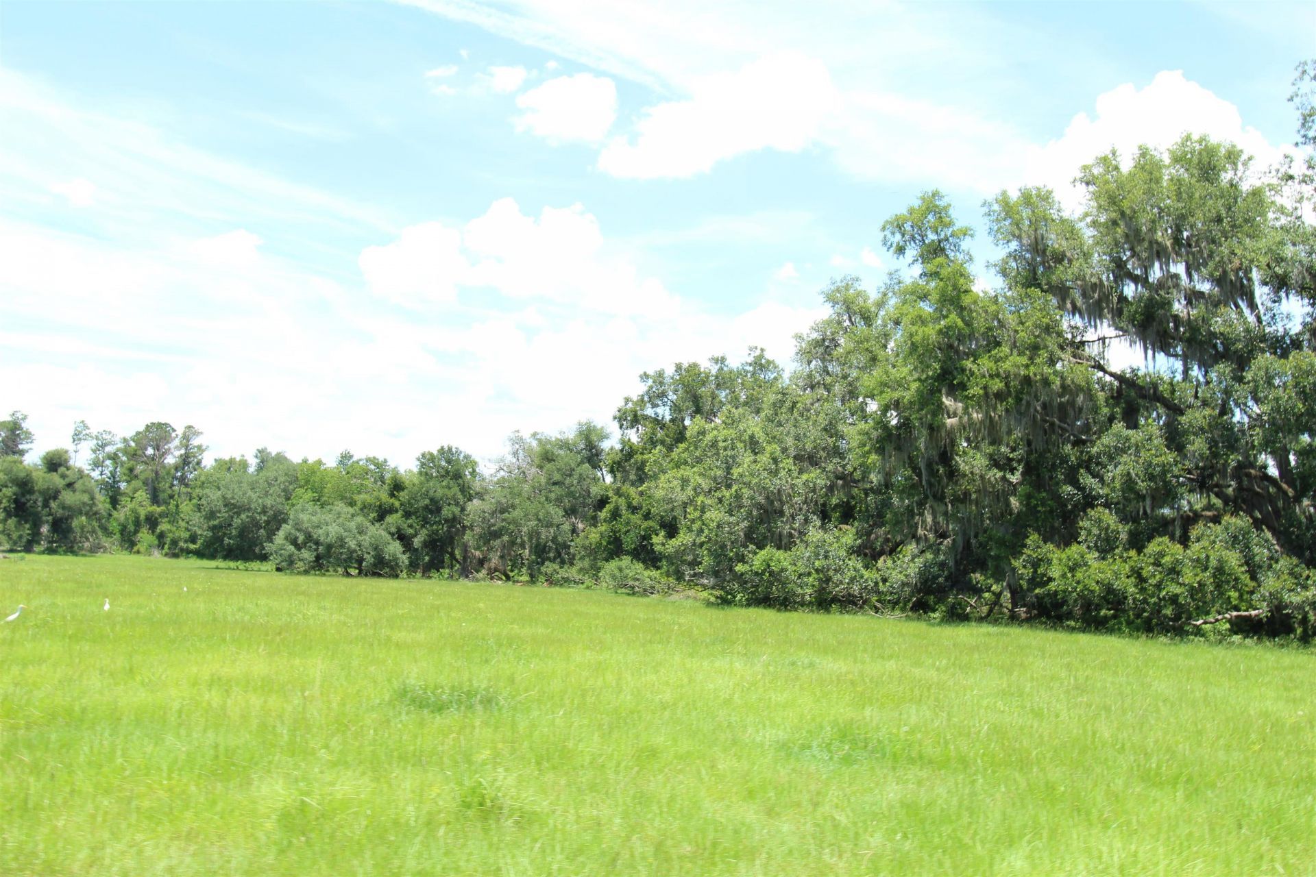 916 SW Cr 360, Madison, FL 32340 Photo