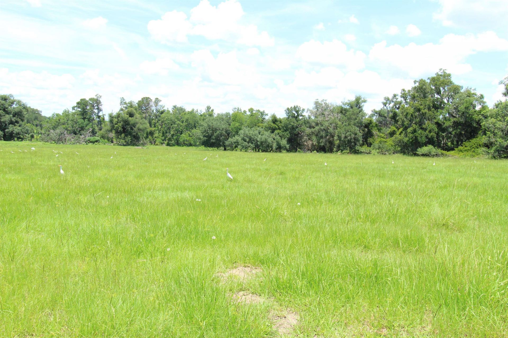 916 SW Cr 360, Madison, FL 32340 Photo