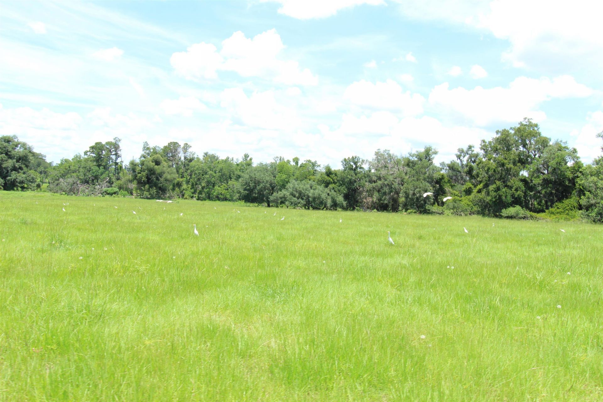 916 SW Cr 360, Madison, FL 32340 Photo