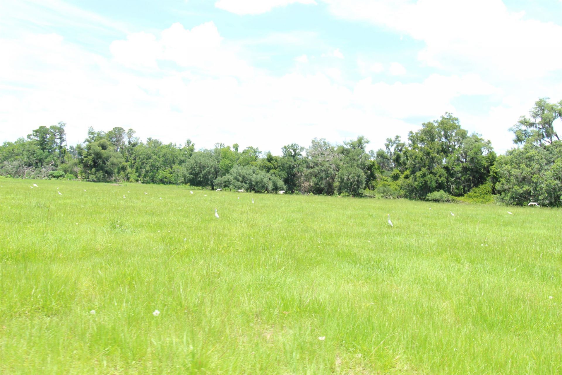 916 SW Cr 360, Madison, FL 32340 Photo