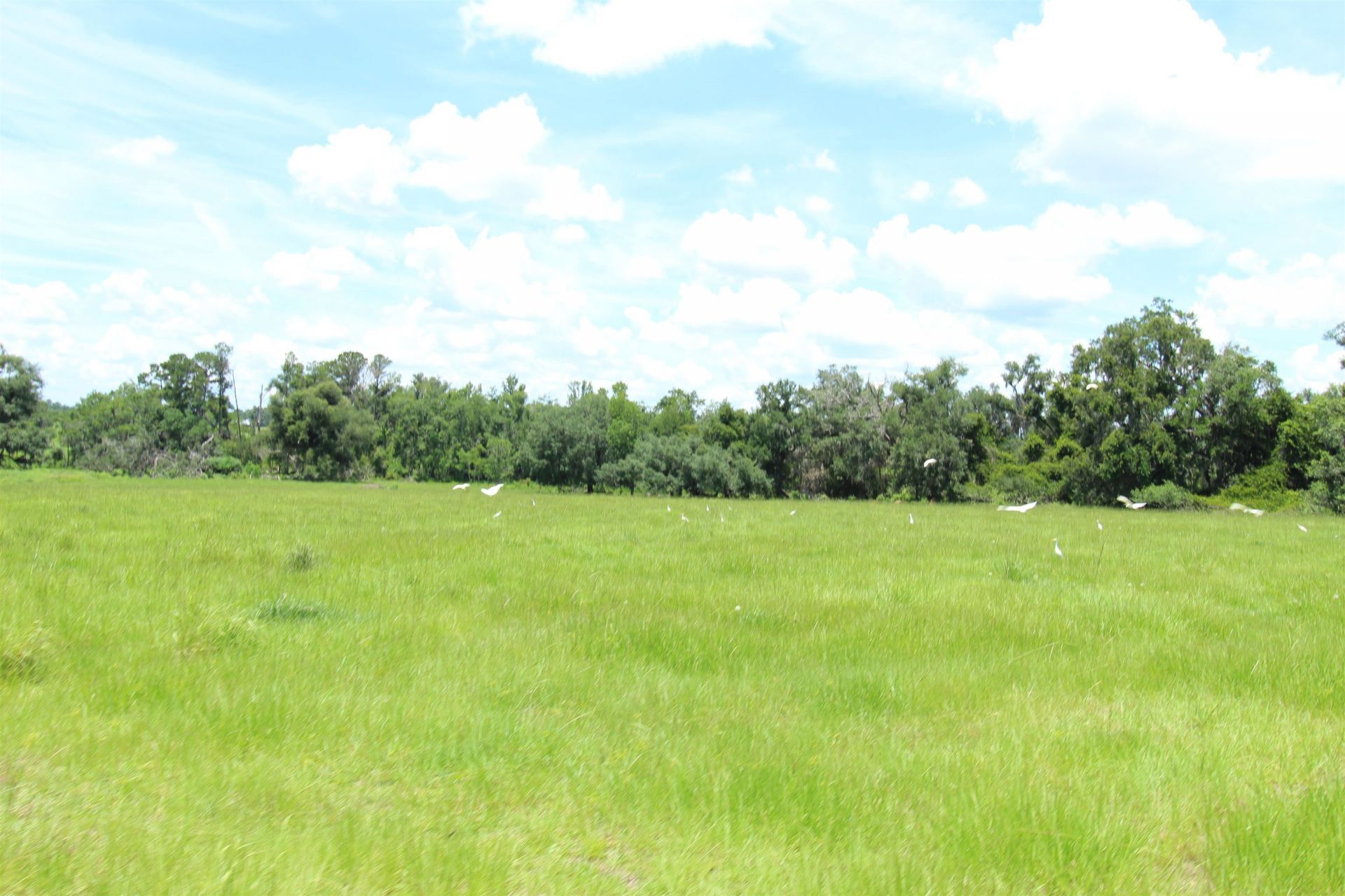 916 SW Cr 360, Madison, FL 32340 Photo