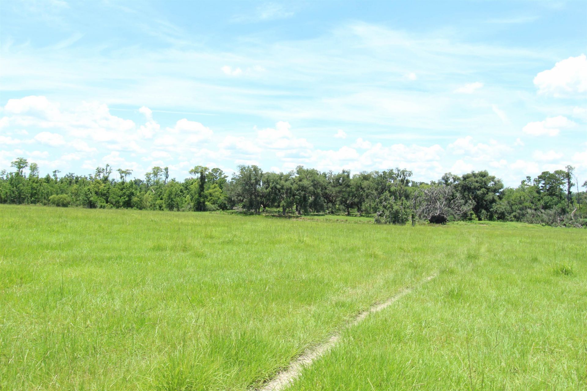 916 SW Cr 360, Madison, FL 32340 Photo