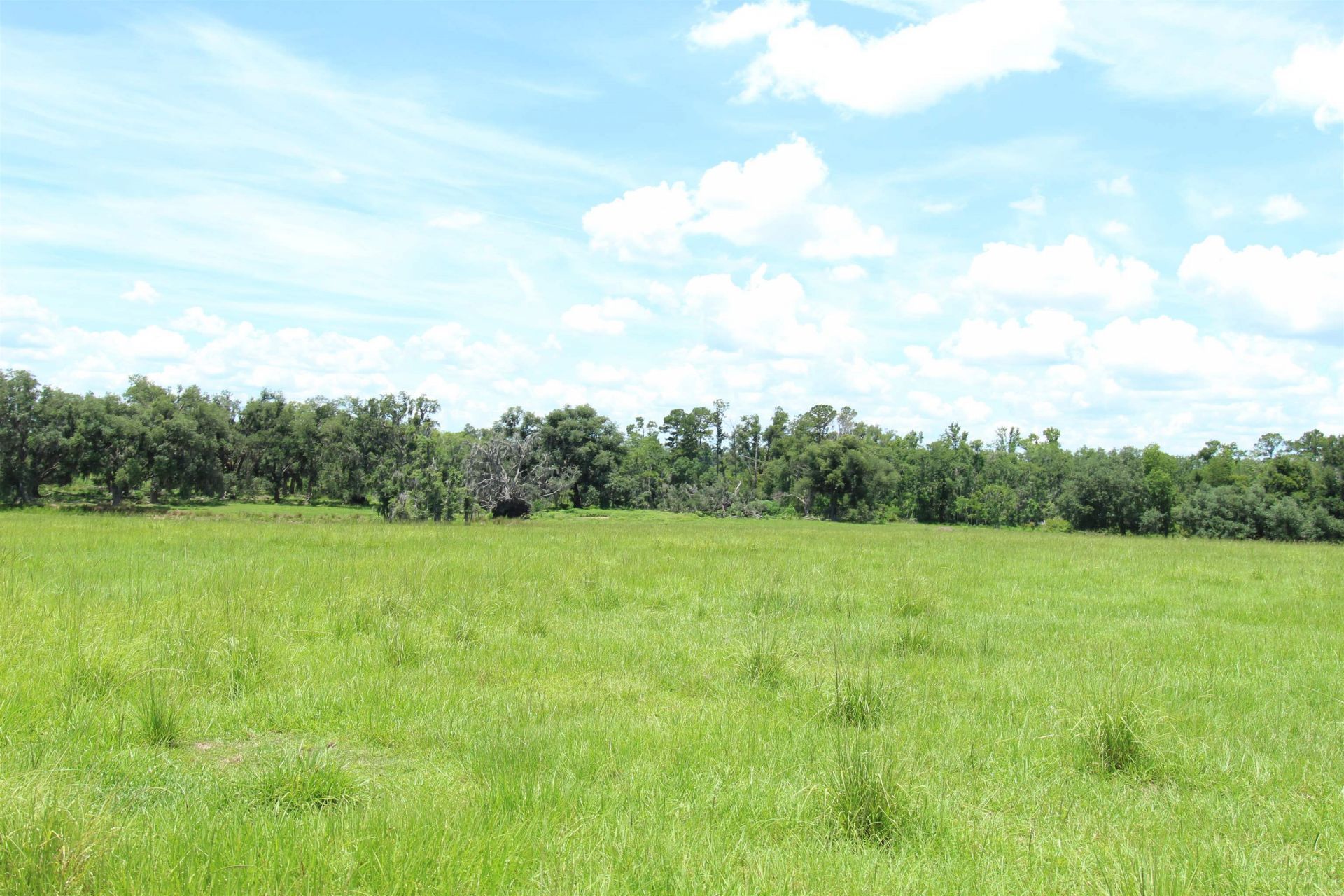 916 SW Cr 360, Madison, FL 32340 Photo