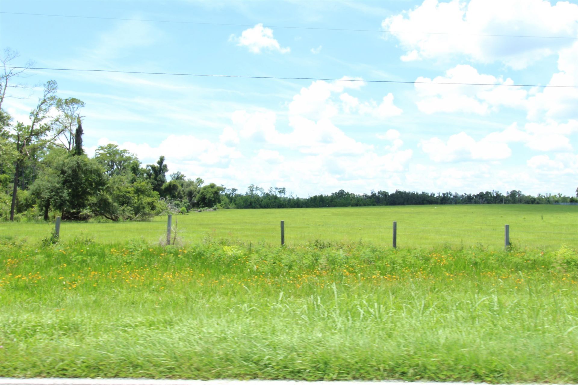 916 SW Cr 360, Madison, FL 32340 Photo