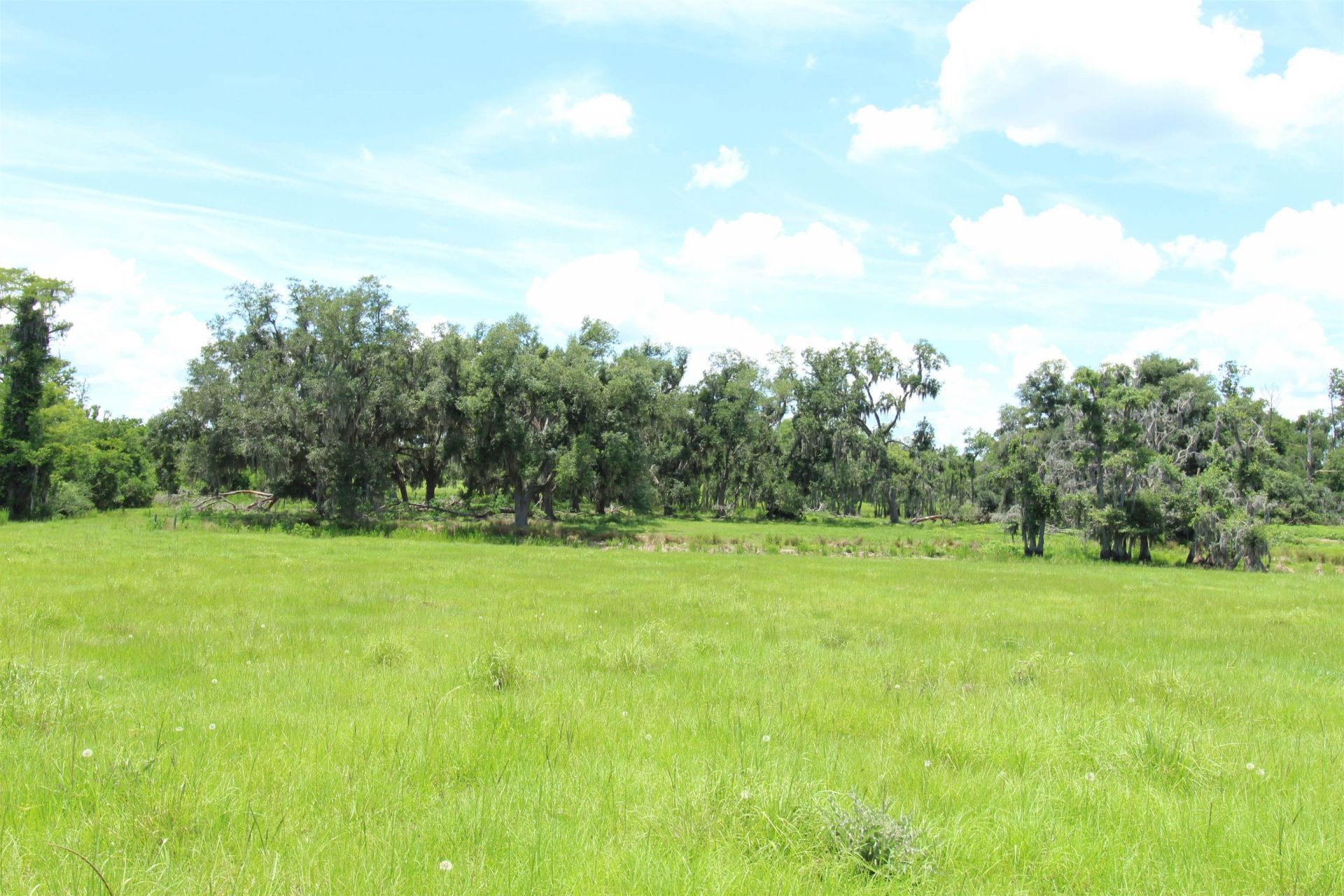 916 SW Cr 360, Madison, FL 32340 Photo