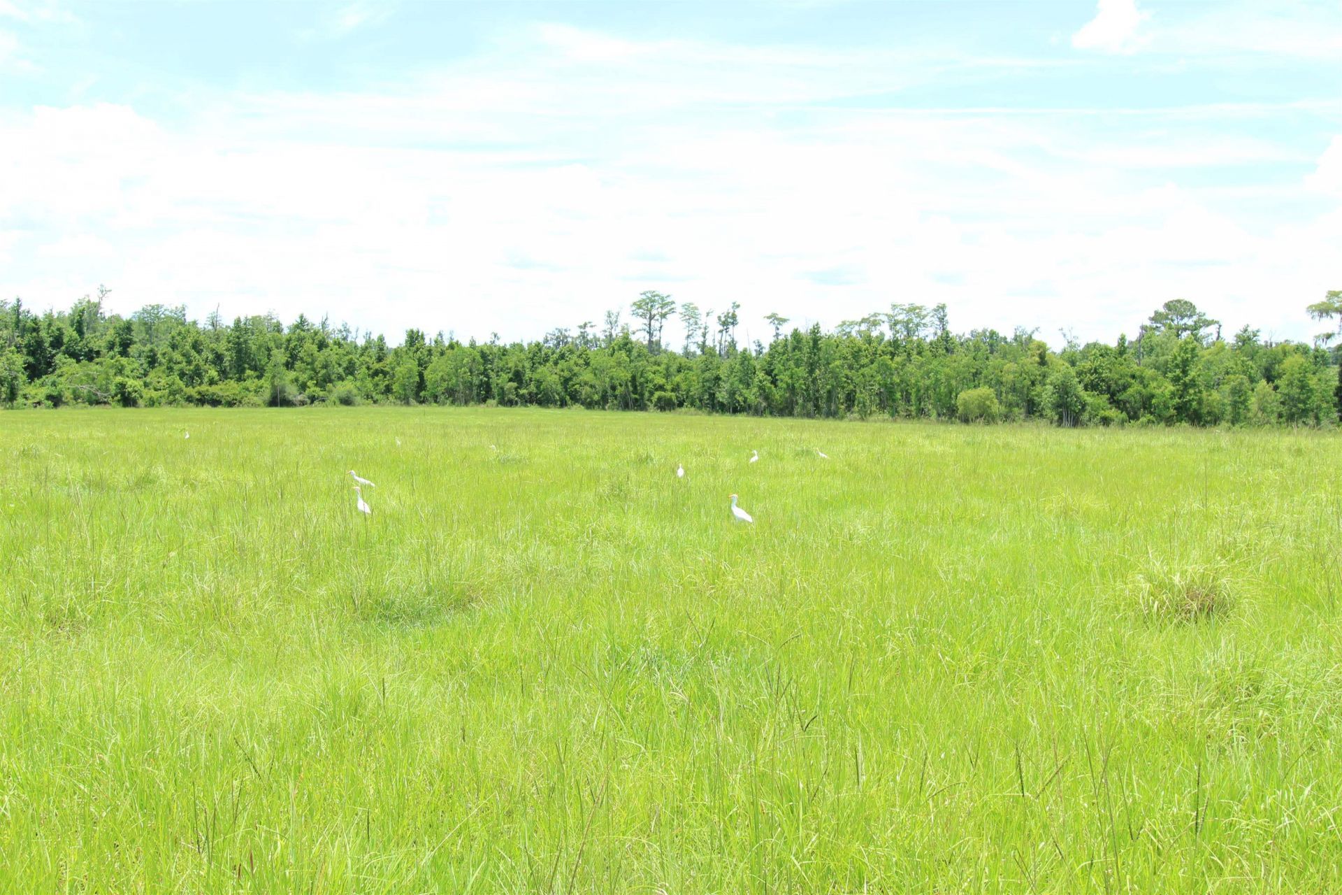 916 SW Cr 360, Madison, FL 32340 Photo