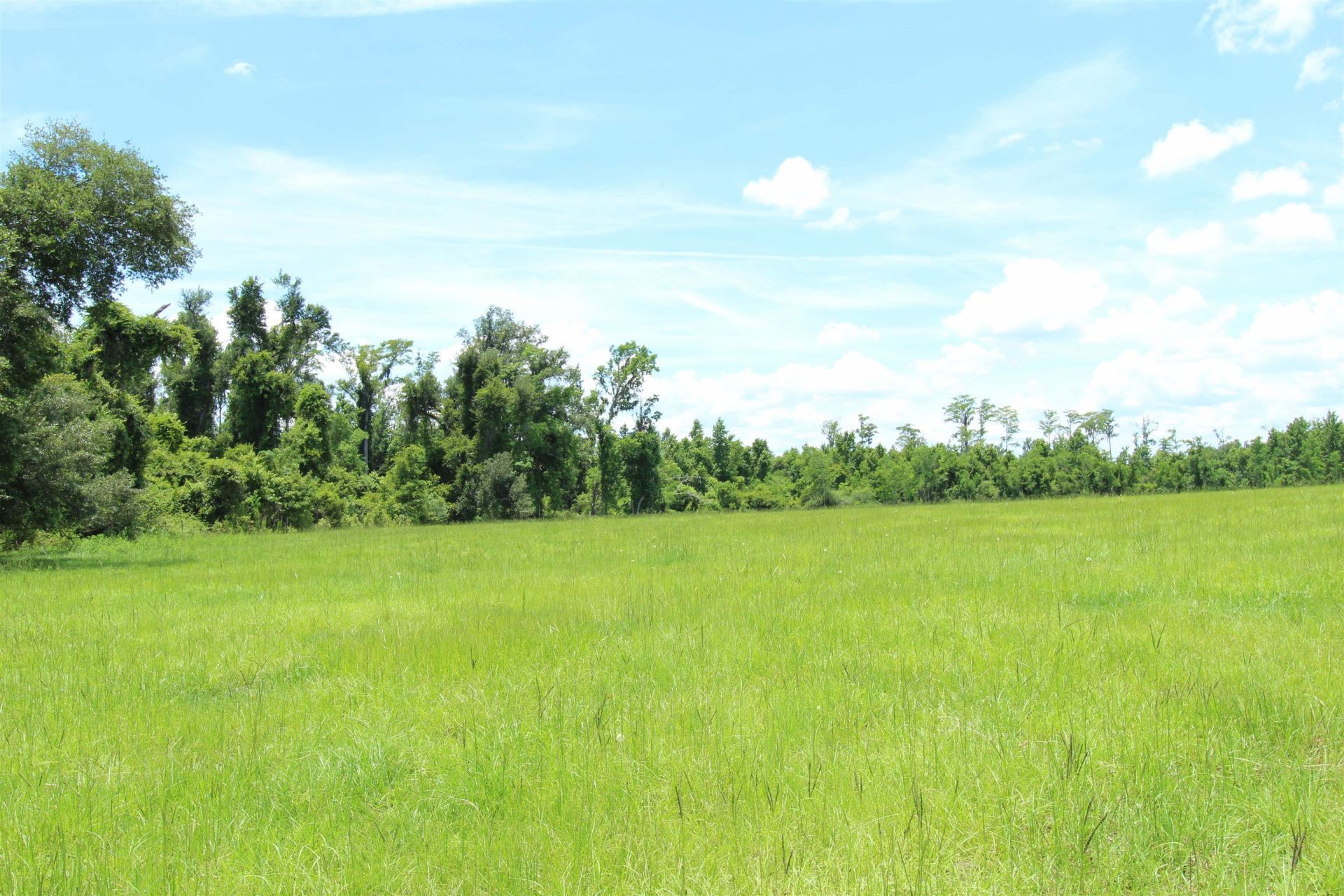 916 SW Cr 360, Madison, FL 32340 Photo